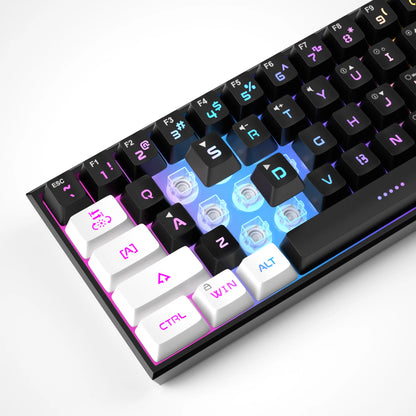 TS91 60% Compact Wired Keyboard 61 Keys RGB Backlight Small Portable Office Computer Membrane Keyboard for Windows PC